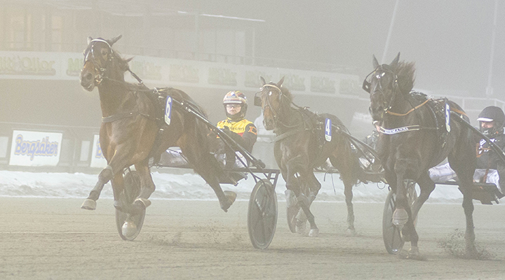 Bästa spiken leder hela vägen till skön procent!