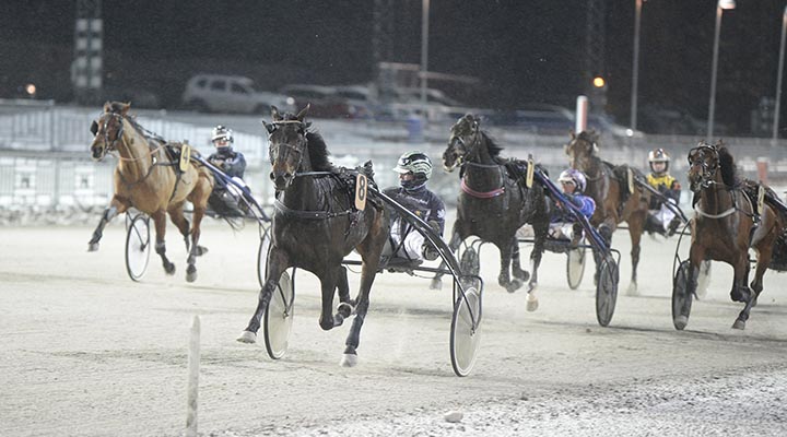 Det ”skrek” nästa gång – blir det en skräll på V85?