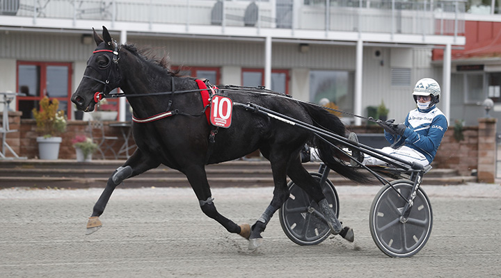 Är det dags för V85-seger nu efter två starka lopp?