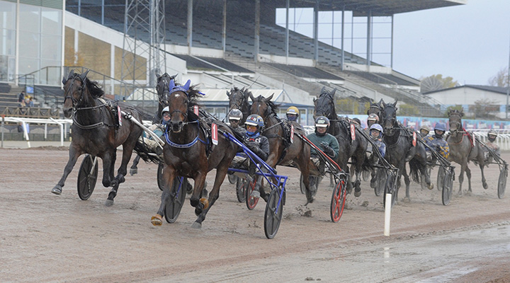 Heta duellen på V85 – vem vinner stjärnkampen?