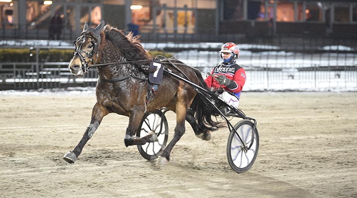 Dubbeljackpot på V86 – 14 miljoner extra i potten!