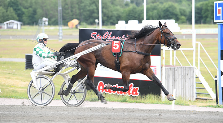 Dubbeljackpot på V86 och läckra Valla-lopp på V85!