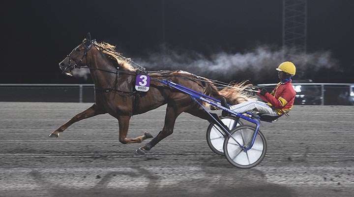 Tar stjärnans slugger hem storloppet på V85?