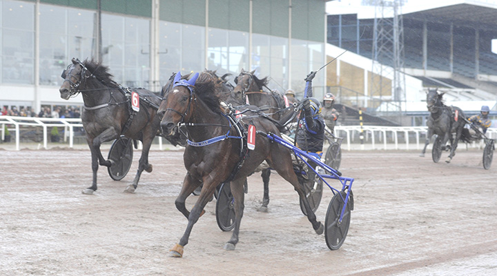 Härlig jackpot-vecka – vinner stjärnan igen?