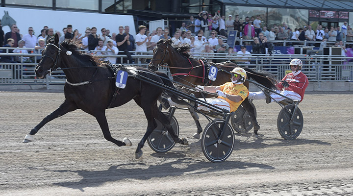 Vilken jackpotvecka – tar sjärnstoet hem loppet?