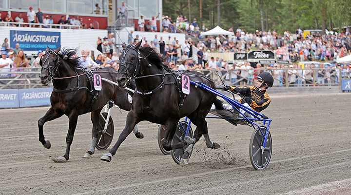 Multijackpot på V85 – vinner stjärnan direkt?