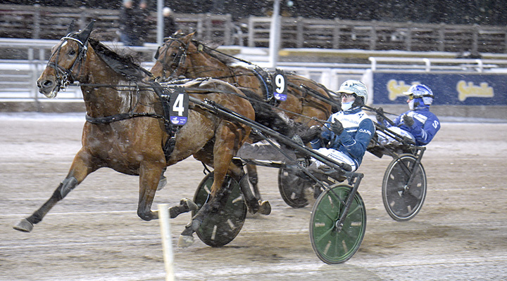 Stjärnan bara vinner sitt lopp på V85-spelet?