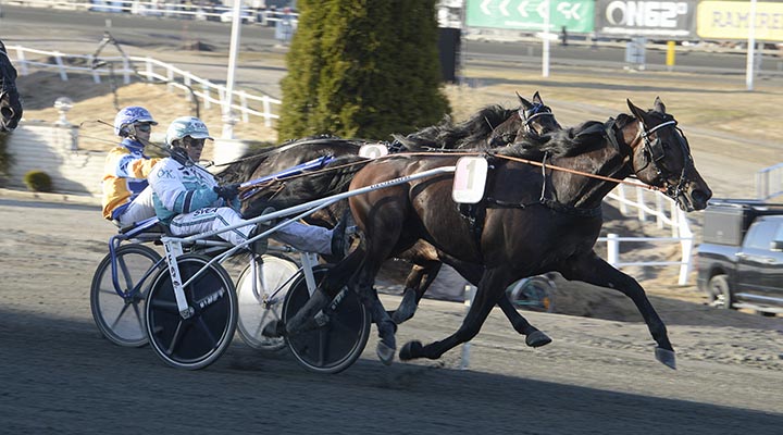 Jagar fjärde raka – men fick ett riktigt dåligt spår…