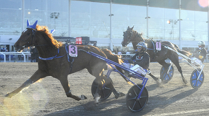 V85-spiken är vrålfräck – nu snackar vi speldrag!