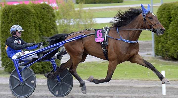 Herregud, vilka rapporter – vi spikar i superomgången!