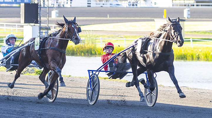 Vilken jackpot-vecka! Spets och blommor på lördag?