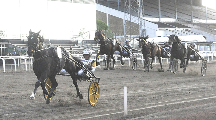 Drog toppspår – leder stjärnan runt om på V85?