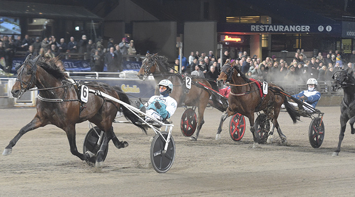 Är stjärnhästen redo för seger direkt i storloppet?