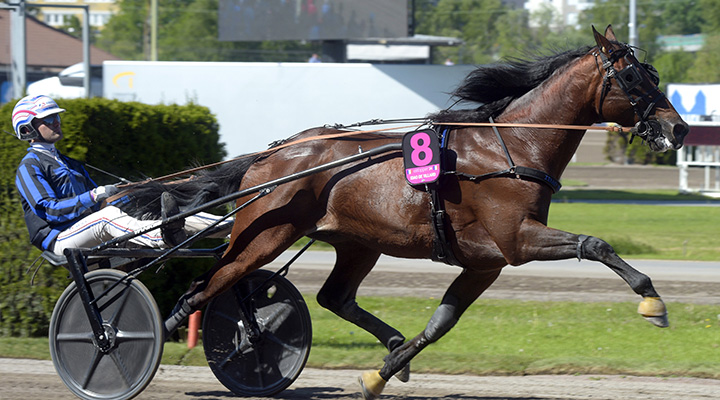 Står franske favoriten pall och vinner Elitloppet?