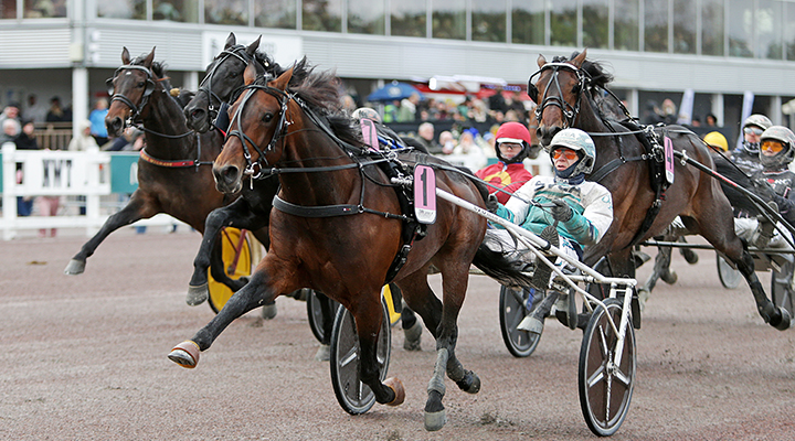 Spets och slut för Redéns stjärna i V85-loppet?
