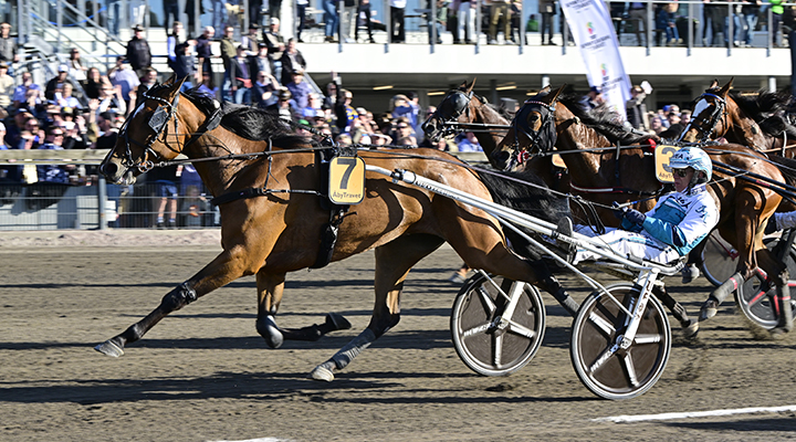 Redéns stjärnsto med fin uppgift – en V85-spik?